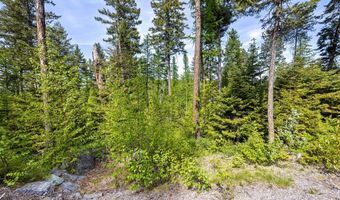 397 Saddlehorn Trl, Bigfork, MT 59911