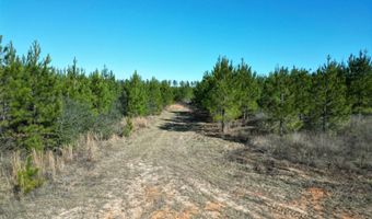 Lot 4 Robinsonville Road, Atmore, AL 36502