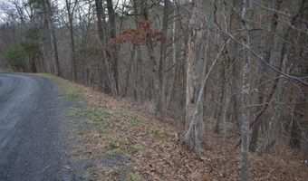 ANDERSON Road, Basye, VA 22810