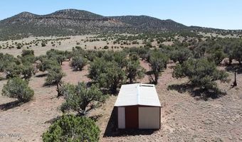 006 N8604, Concho, AZ 85924