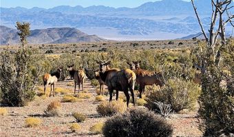 4 Camp Bonanza Rd, Cold Creek, NV 89124