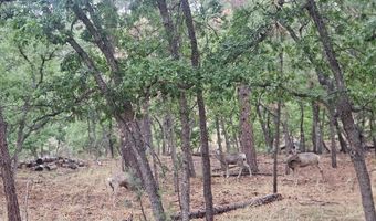 74 Lot Silvertip Trl 5, Alto, NM 88312