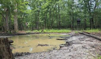 River Rd, Bascom, FL 32423