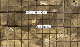 Lupine/Chicksaw Street, Elko, NV 89801