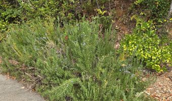 96420 ALDER RIDGE Rd, Brookings, OR 97415