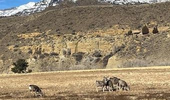 27 Stillwater Dr Lot 120, Cody, WY 82414