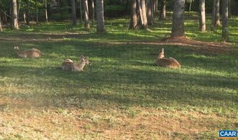 2441 TISDALE Rd, Barboursville, VA 22923