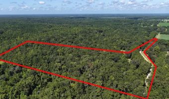 NW 218TH LANE, Alachua, FL 32615