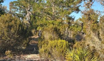 NE 99th Pl, Archer, FL 32618