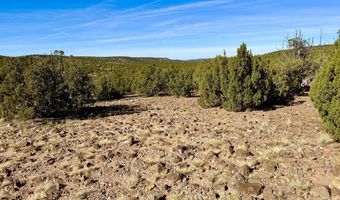 Kirkland DR 20 Acres, Concho, AZ 85924