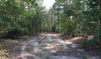 2631 Charlie Johnson Rd, Bethune, SC 29009