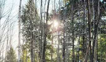 B-2BackLot Pioneer Path, Aurora, ME 04605