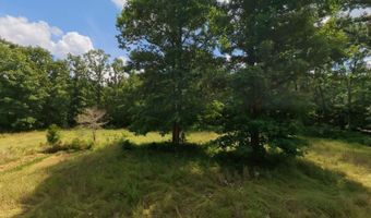 County Road 200, Alton, MO 65606