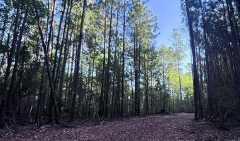 Jarvis Landing Road, Aurora, NC 27806