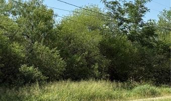 TBA 2 N 2nd Street, Alice, TX 78342