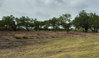 E Hwy 44 x CR 341 lot 0, Alice, TX 78332