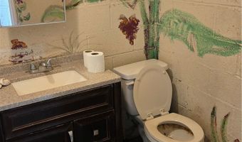 38800 Bahrman Rd, Anza, CA 92539
