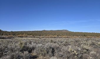 River Bank Drive, Beatty, OR 97621