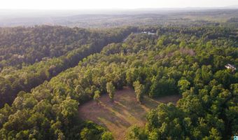 200 TABLEE LANE Lot 17.65, Ashland, AL 36251