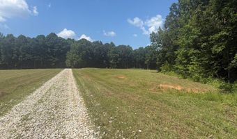 0000 Mifflin Rd, Beech Bluff, TN 38301