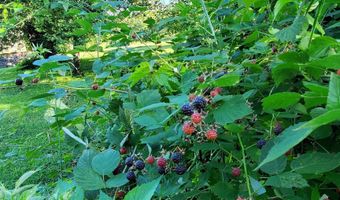 762 McLaren Hill Rd, Barnet, VT 05821