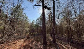 439 WILD ROSE Trl, Ashville, AL 35953