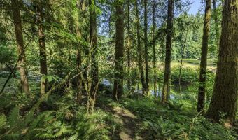 9947 BEACH Dr, Birkenfeld, OR 97016