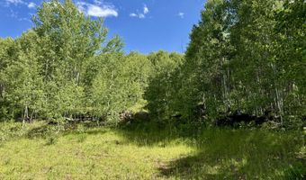 TBD CR 501, Bayfield, CO 81122