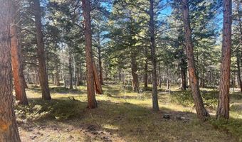 399 N Skinner Rd, Allenspark, CO 80510