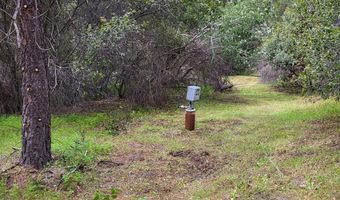 9 Valley Oak Dr, Ahwahnee, CA 93601