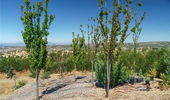 40230 Crazy Horse Canyon Rd, Aguanga, CA 92536