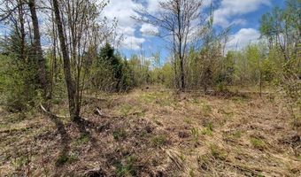Lot # 2 Cone Road, Amity, ME 04471