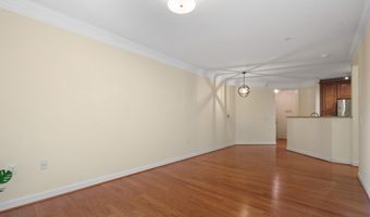 2101 N MONROE St 213, Arlington, VA 22207