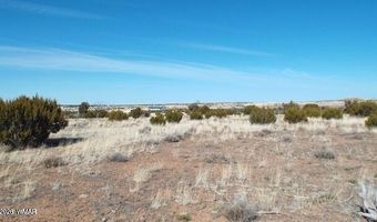 Parcel 107-52-046, Concho, AZ 85924