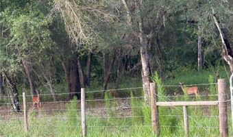SE BROWN ROAD, Arcadia, FL 34266