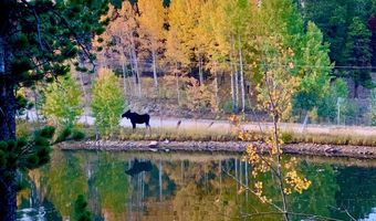 16903 Highway 119, Black Hawk, CO 80422
