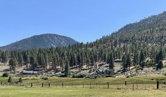 565 Jackson Ranch Rd, Gardnerville, NV 89460