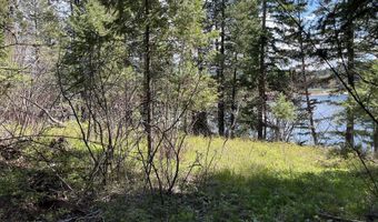 716 Echo Lake Rd, Bigfork, MT 59911