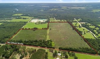 7009 129 Hwy, Bell, FL 32619