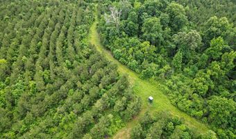 7400 Amon Hill Rd, Bastrop, LA 71220