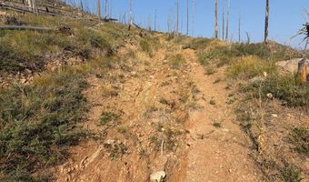 Pine Acres Rd, Bellvue, CO 80512