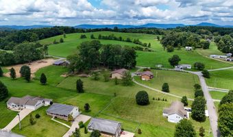 1020 Pigeon Hollow Rd, Afton, TN 37616