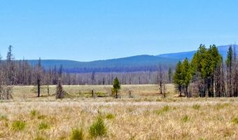 White Birch Lane lot 4, Bly, OR 97622