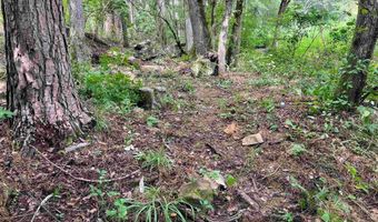 1531 Grace Ave NW, Arab, AL 35016