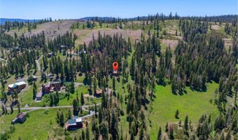 309 Snowshoe Rd, Bear Valley, CA 95223