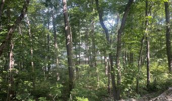16569 Co Rd 14-533, Ava, MO 65608