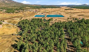 25319 US Hwy 191, Alpine, AZ 85920