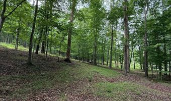 Lot 5 Purvis Road, Baldwin, GA 30511