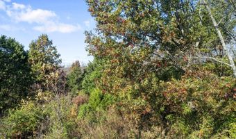 90 Joyce Way, Augusta, KY 41002