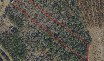 5 61ac Ivanhoe Rd, Atkinson, NC 28421